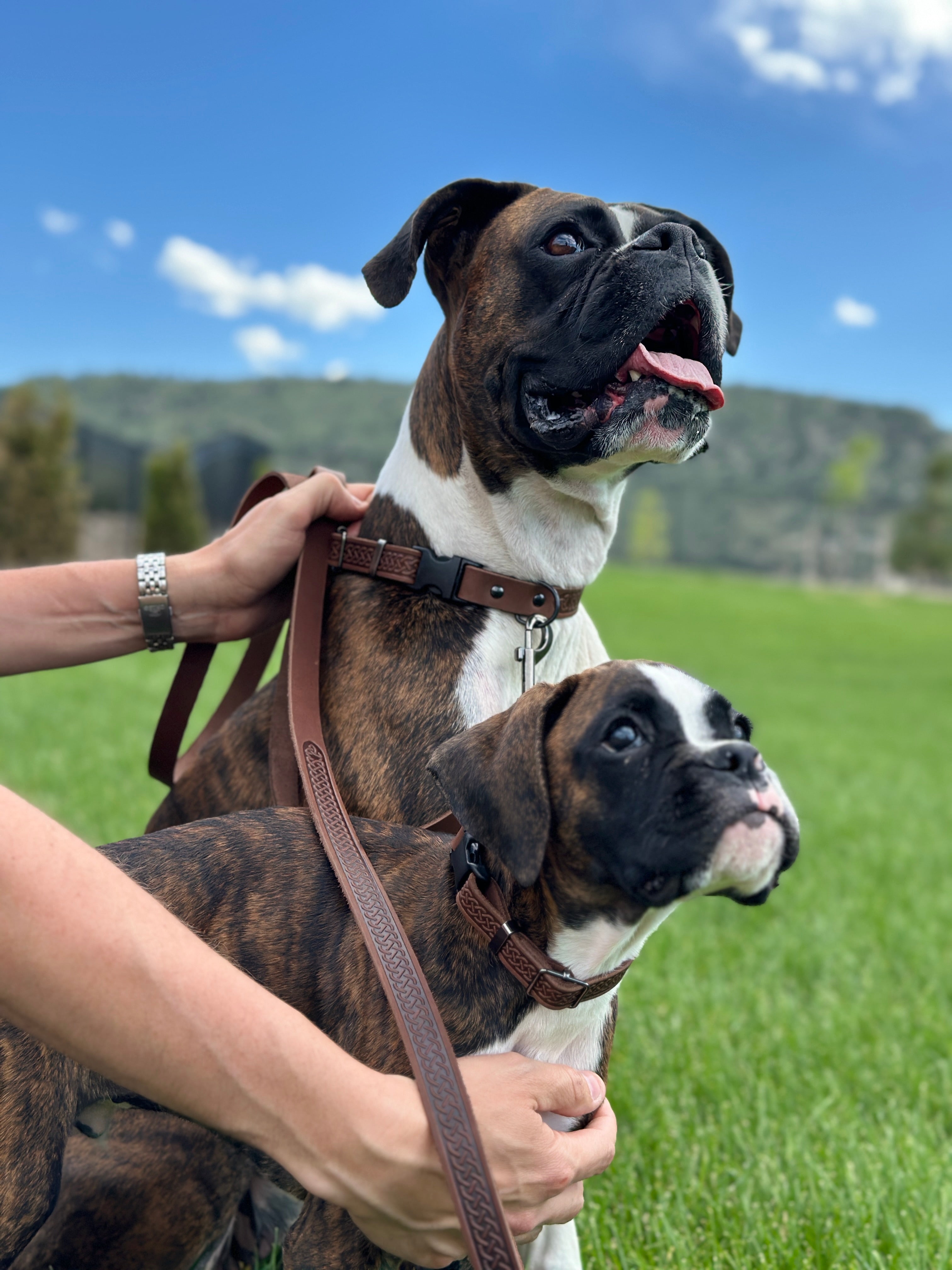 Celtic Sport Leather Dog Leash