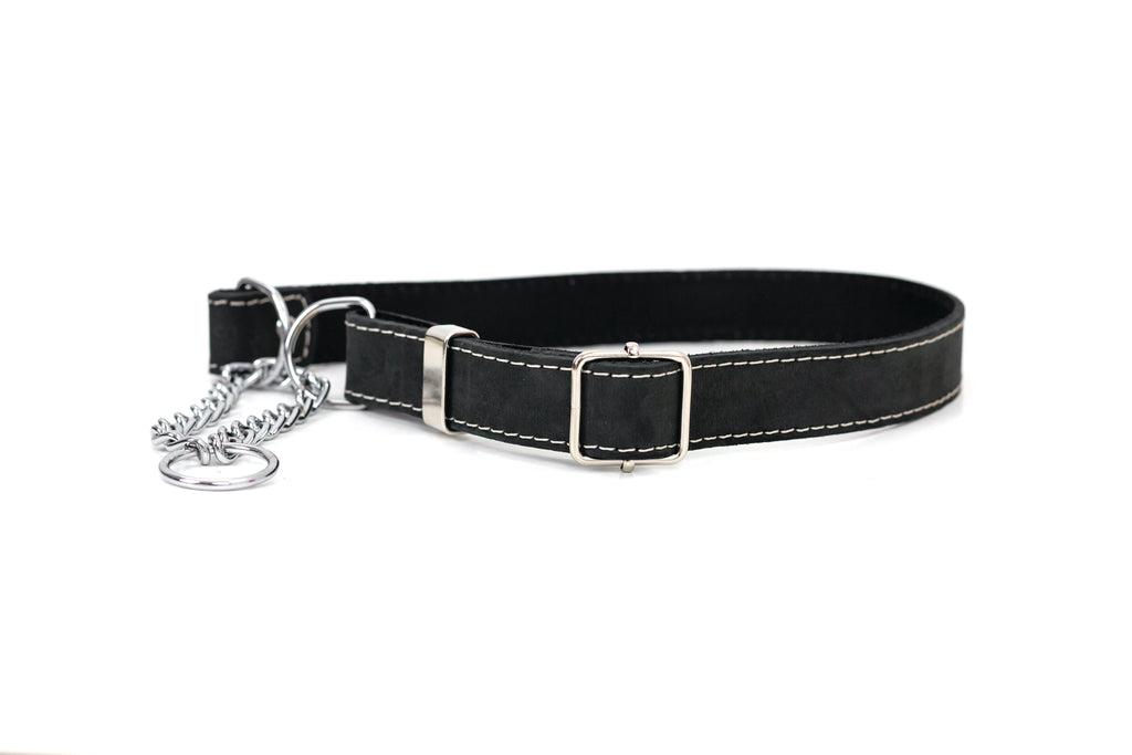 Martingale Leather Dog Collar