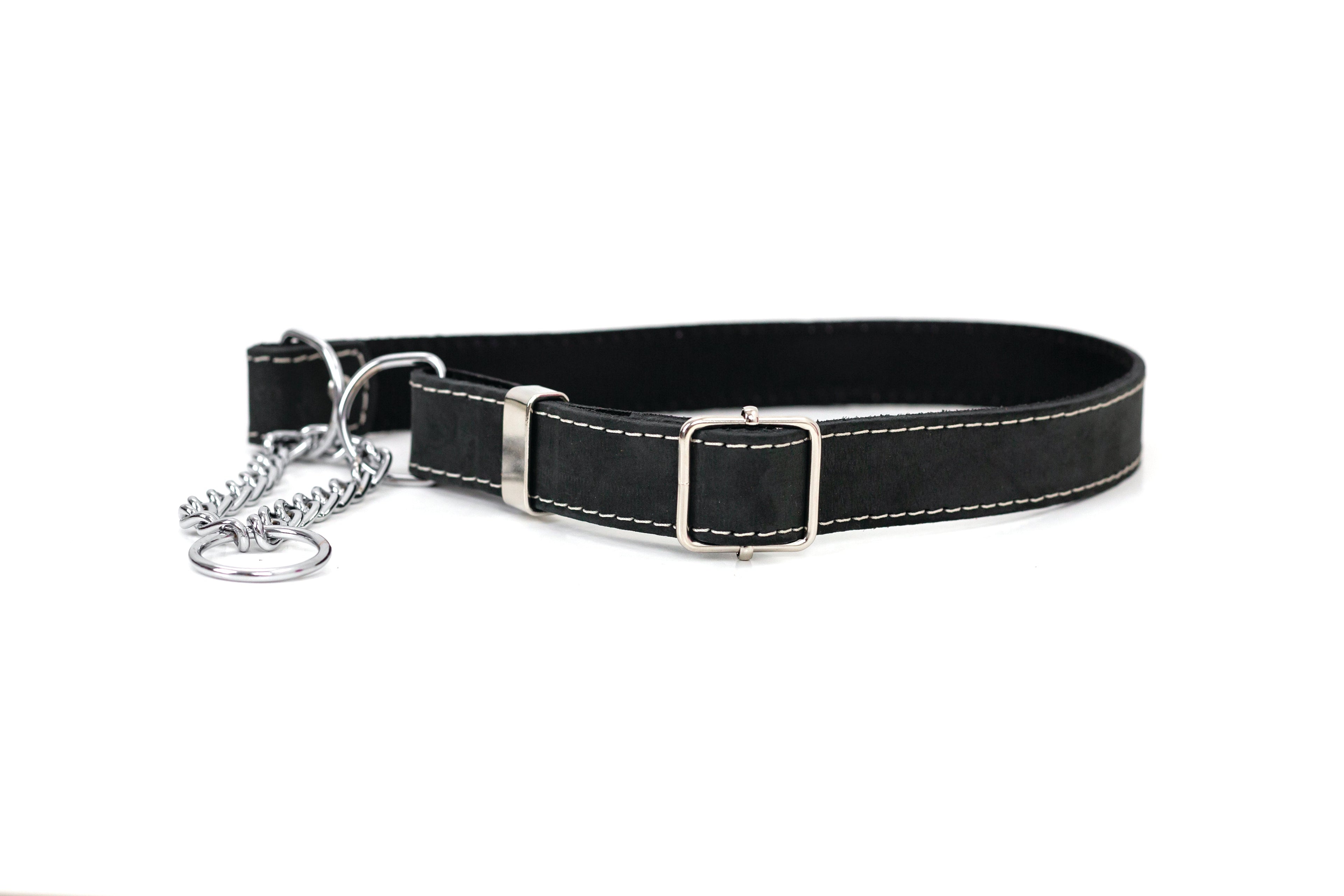 Martingale Leather Dog Collar
