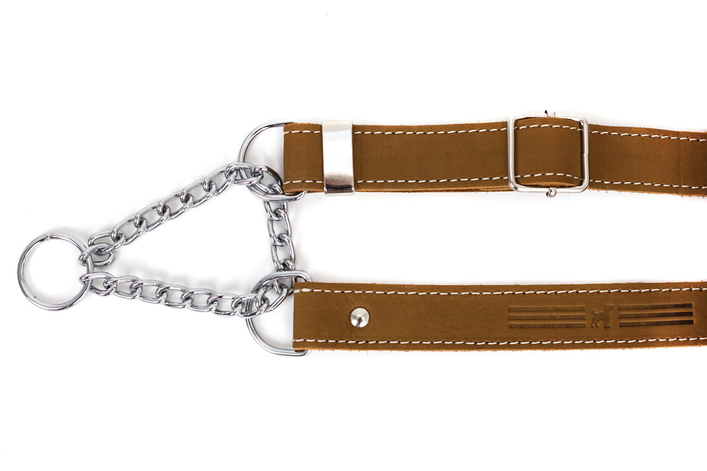 Martingale Leather Dog Collar