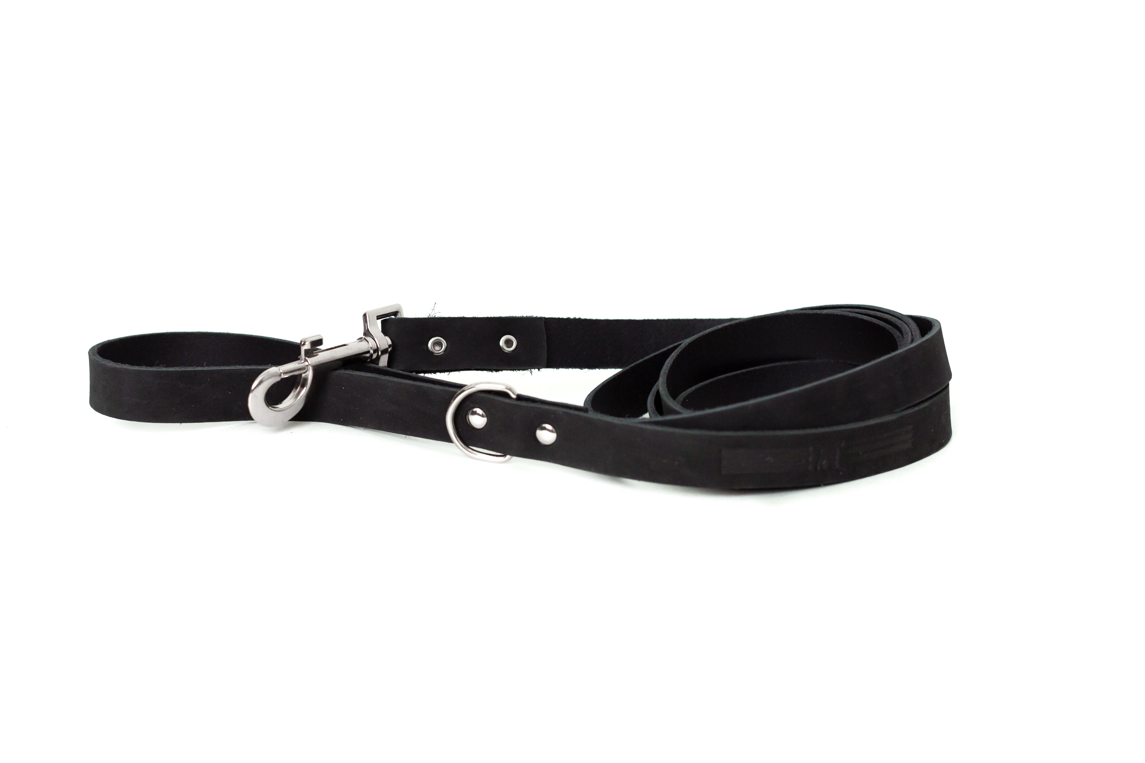 Modern Style Leather Dog Leash