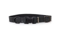 Celtic Sport Quick-Release Leather Dog Collar
