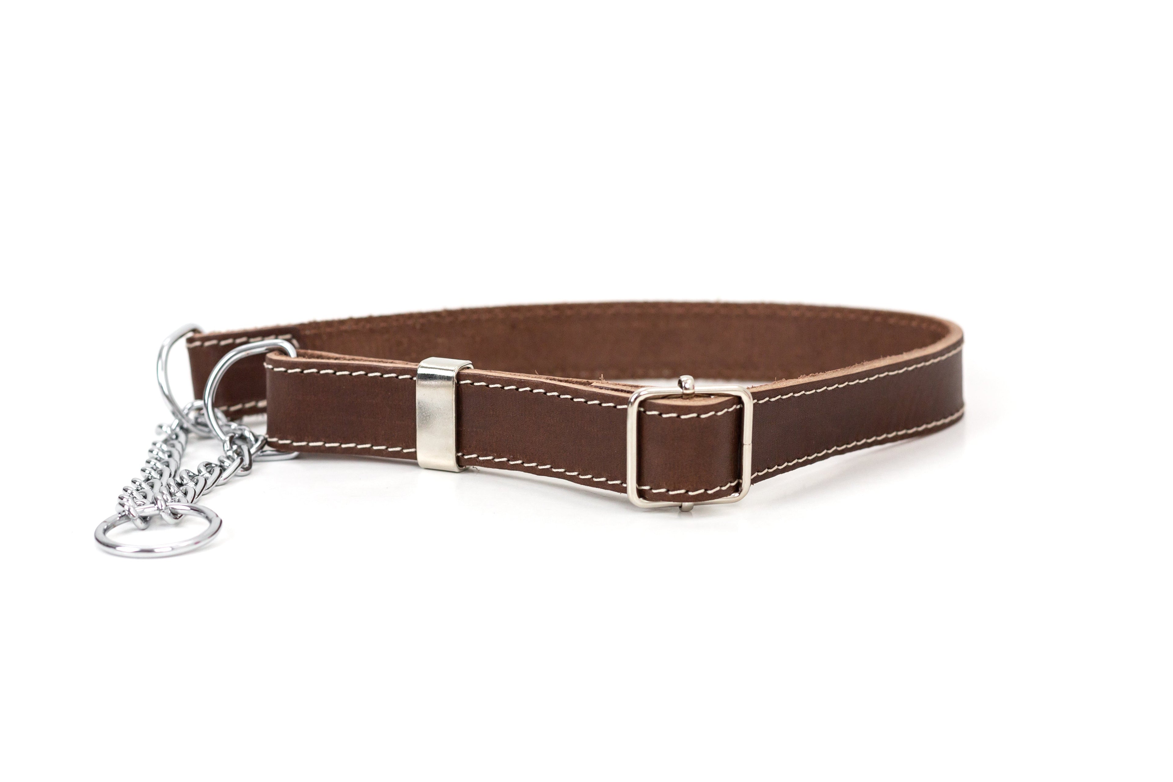 Martingale Leather Dog Collar